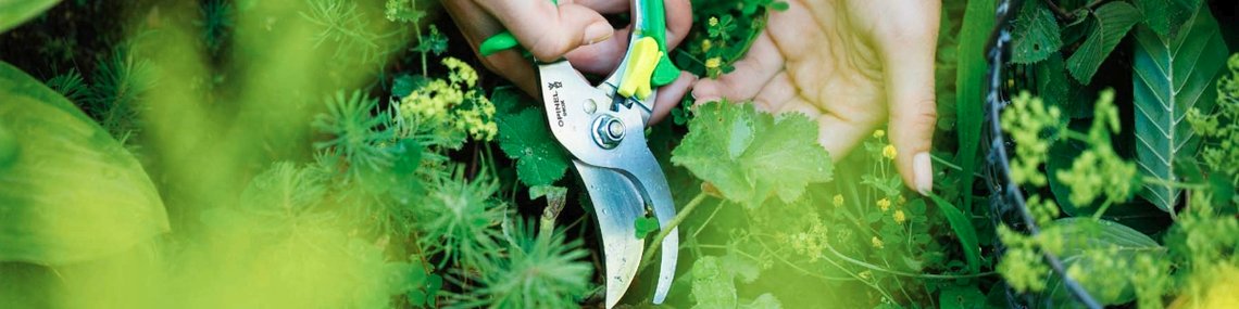 Banner_ke_kolekci_Garden2