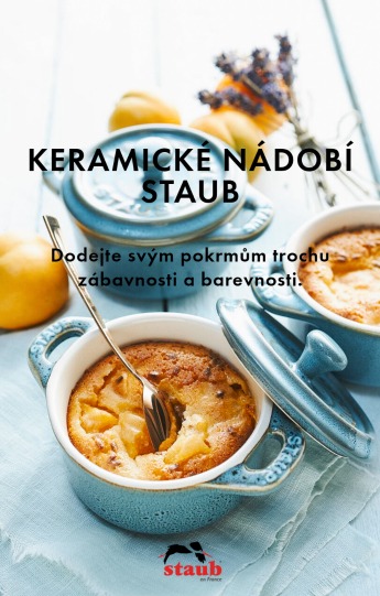 Staubkeramika2